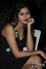 Akshitha at Tanu Monne Vellipoyindi Movie Audio Launch